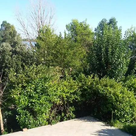 A Sant Erasmo * Venise